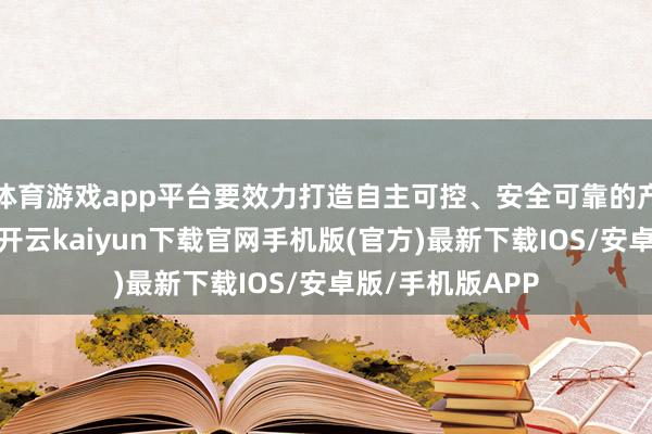 体育游戏app平台要效力打造自主可控、安全可靠的产业链、供应链-开云kaiyun下载官网手机版(官方)最新下载IOS/安卓版/手机版APP