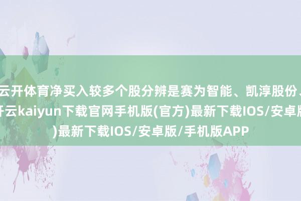 云开体育净买入较多个股分辨是赛为智能、凯淳股份、国星光电等-开云kaiyun下载官网手机版(官方)最新下载IOS/安卓版/手机版APP