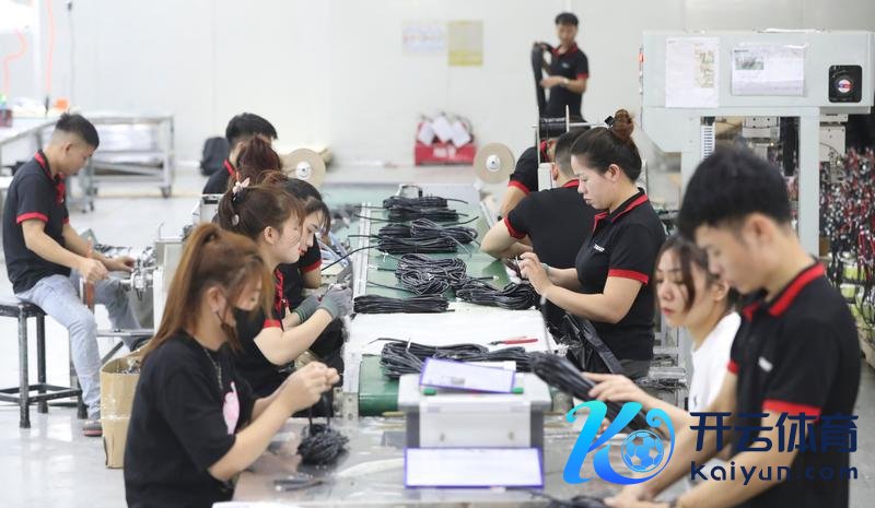 职工在越南北宁省隶属上海广为电器集团的越南特为有限公司工场功课。新华社辛苦