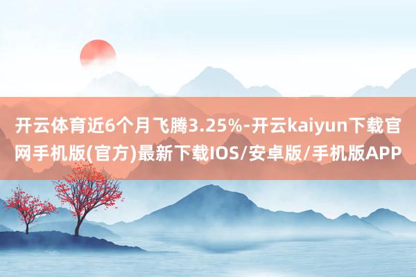 开云体育近6个月飞腾3.25%-开云kaiyun下载官网手机版(官方)最新下载IOS/安卓版/手机版APP
