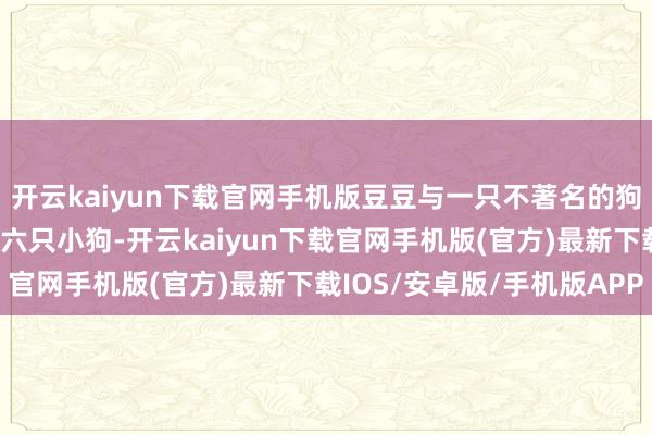 开云kaiyun下载官网手机版豆豆与一只不著名的狗狗再会并生下了一窝共六只小狗-开云kaiyun下载官网手机版(官方)最新下载IOS/安卓版/手机版APP