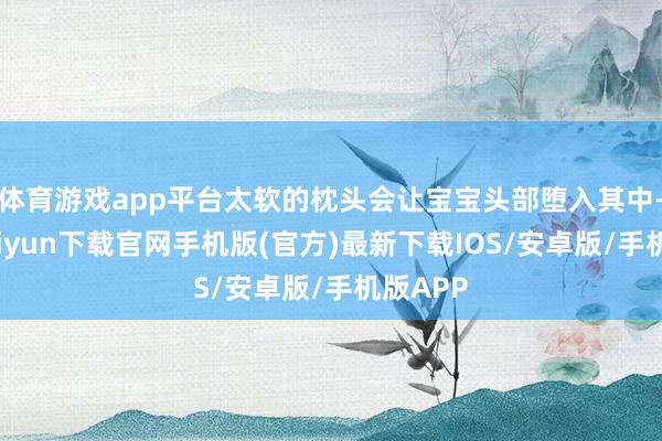 体育游戏app平台太软的枕头会让宝宝头部堕入其中-开云kaiyun下载官网手机版(官方)最新下载IOS/安卓版/手机版APP