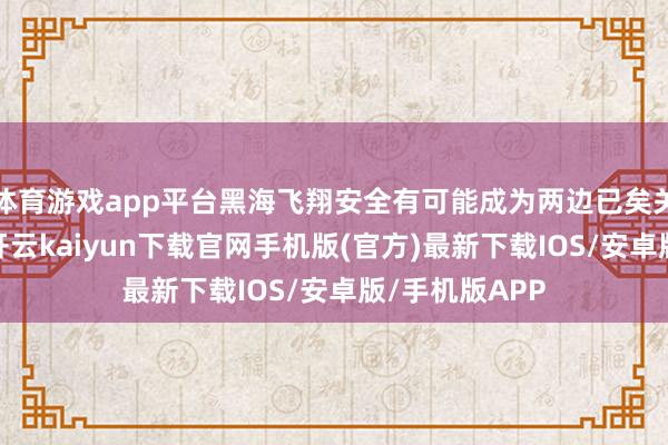 体育游戏app平台黑海飞翔安全有可能成为两边已矣关切的一部分-开云kaiyun下载官网手机版(官方)最新下载IOS/安卓版/手机版APP