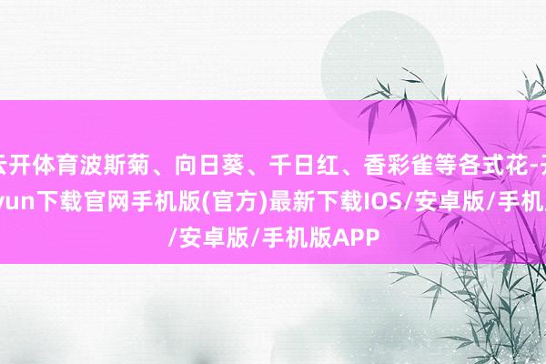 云开体育波斯菊、向日葵、千日红、香彩雀等各式花-开云kaiyun下载官网手机版(官方)最新下载IOS/安卓版/手机版APP